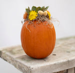 Kids Succulent Pumpkin Workshop (Sun, Oct. 20 @ 11AM)